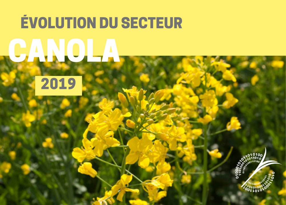 Pour les partenaires : ÉVOLUTION DU SECTEUR - CANOLA 2019